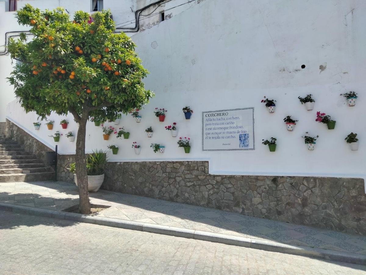 Casa Vista Villa Alcalá de los Gazules Kültér fotó